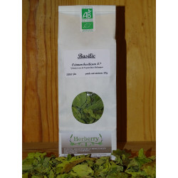 Basilic